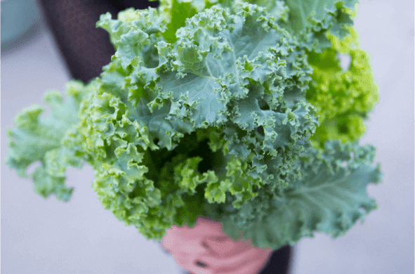 Summer Tower Gardening