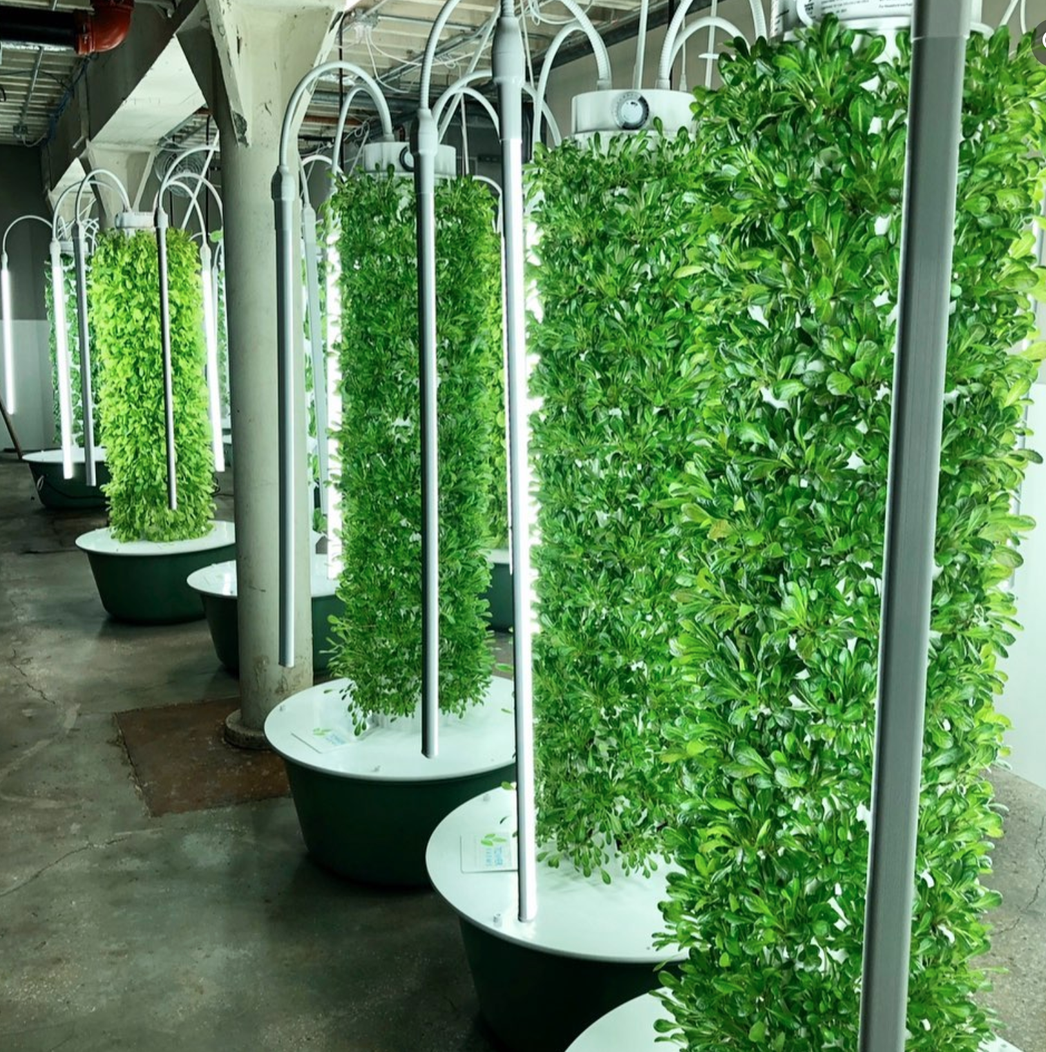 Tower Garden Tower FARMS