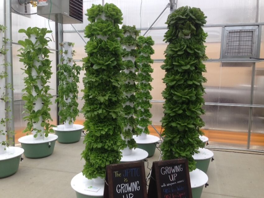 12 Urban Farms Changing the World for the Better