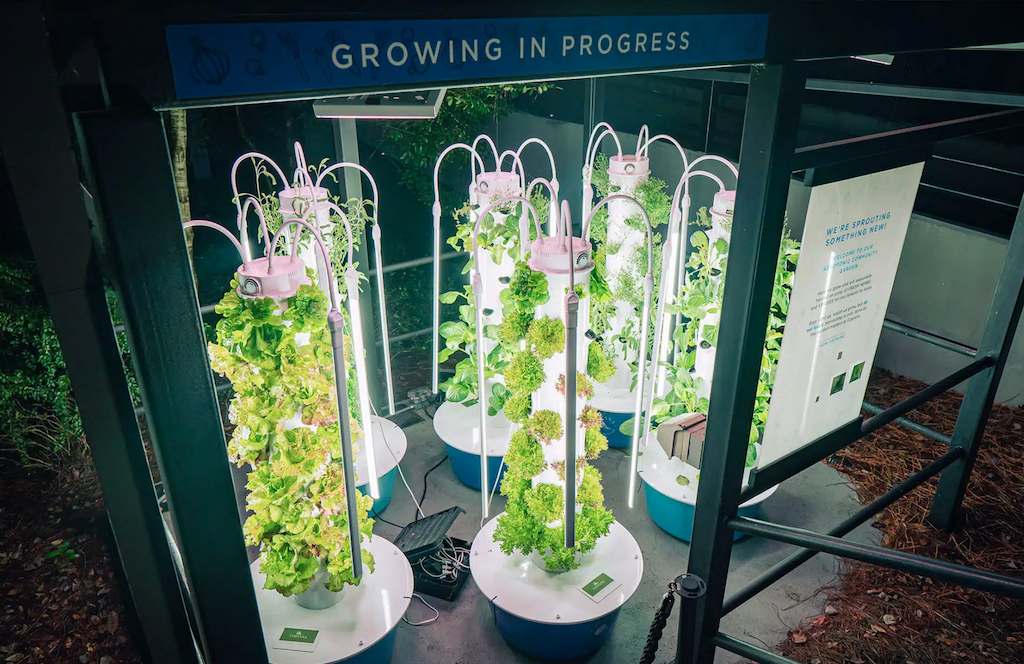 This Is Why Corporate Gardens Are Catching On