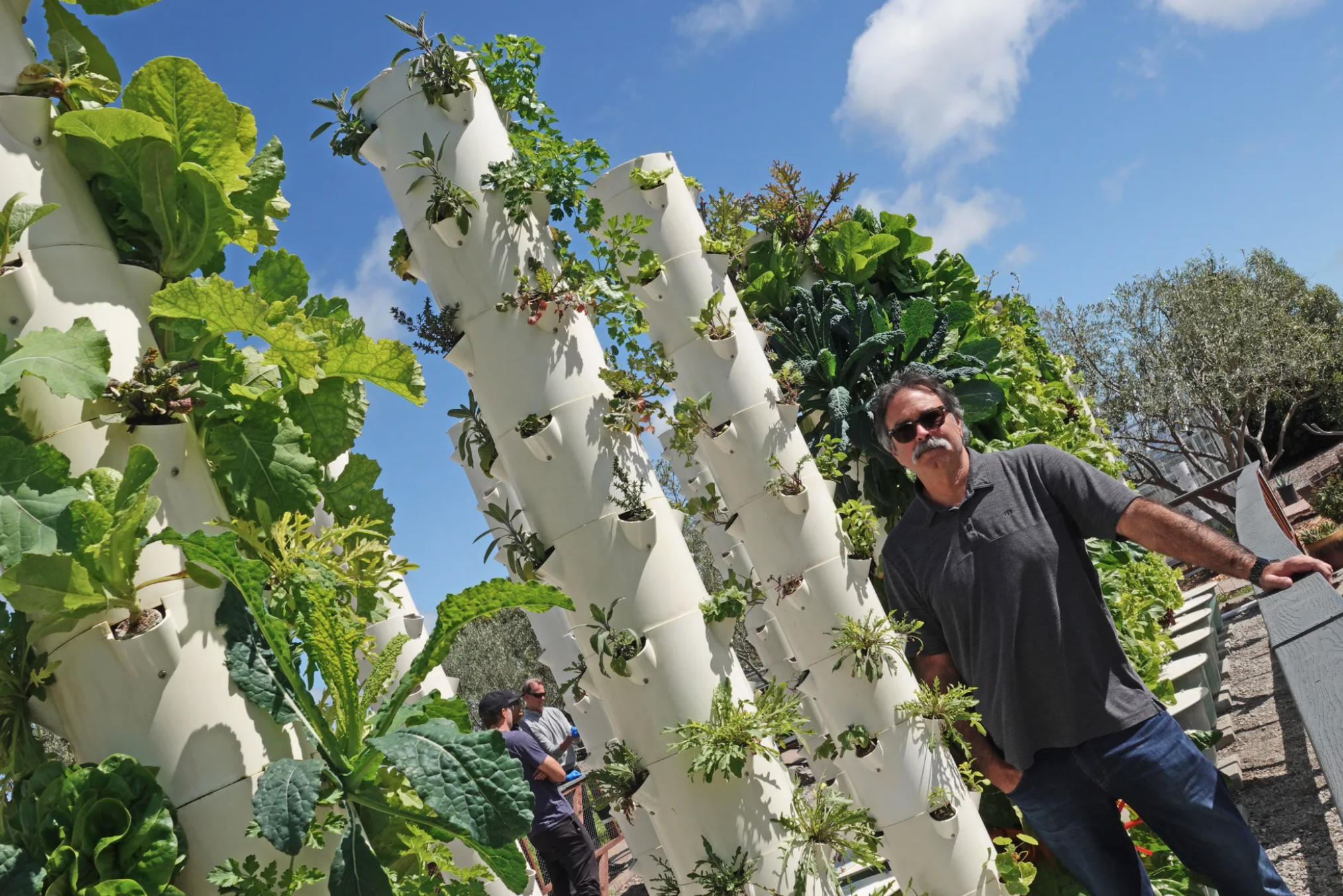 Feeding the Need: San Clemente Urban Farms Sources Produce for Local Food Banks