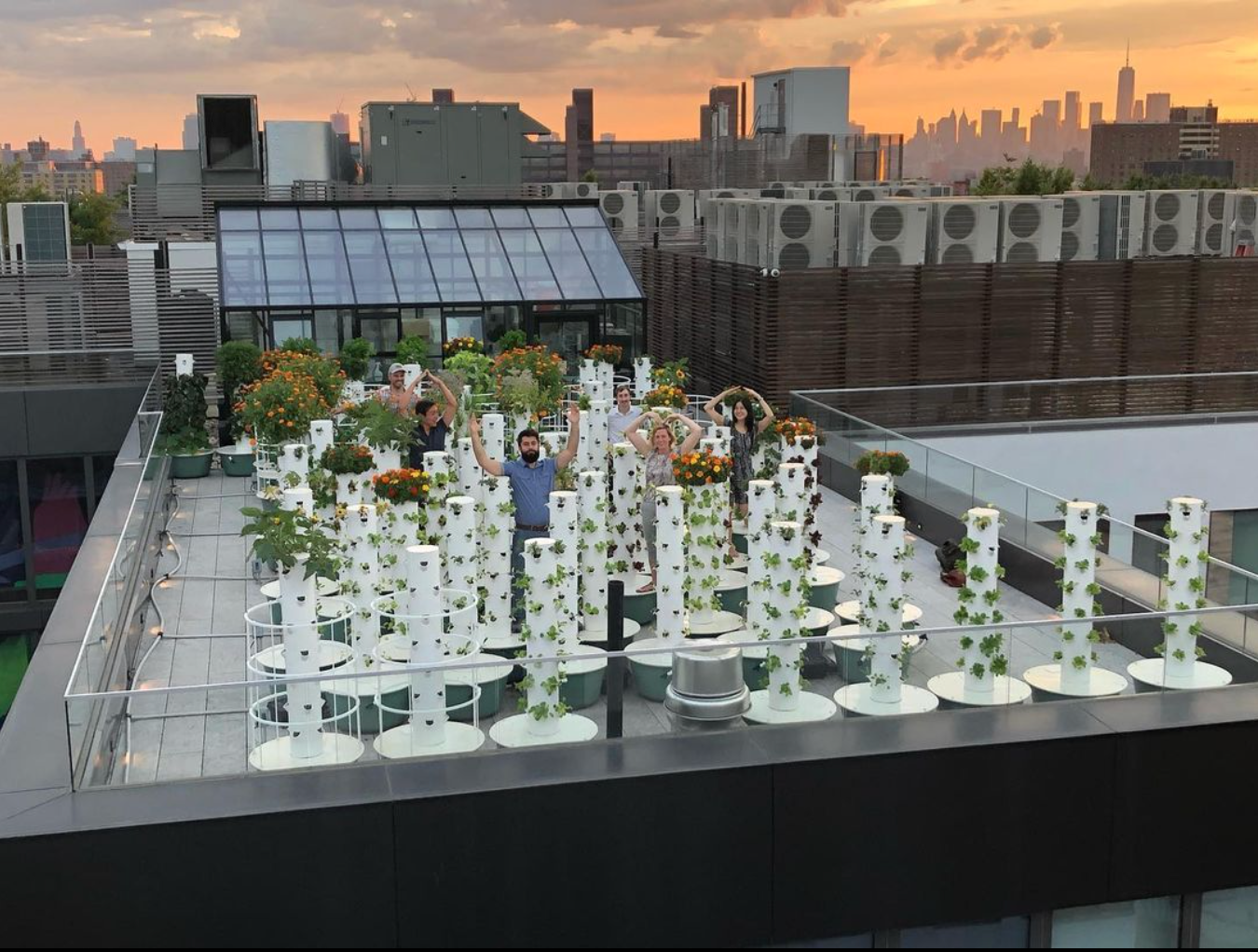 Tower Talks: Tower Farming with Green Food Solutions