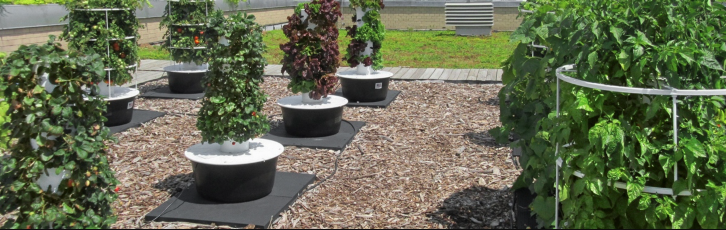 Design you farm’s layout